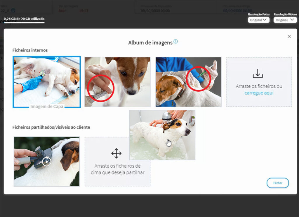 img-lp-clinicas-veterinarias-galeria-media-1