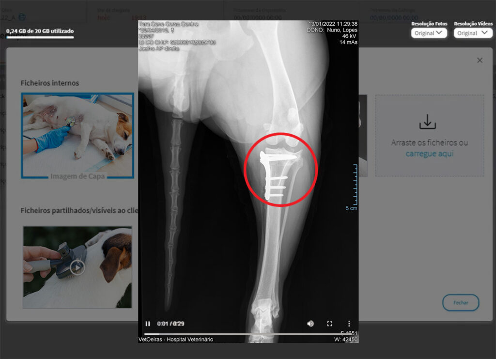 img-lp-clinicas-veterinarias-galeria-media-2